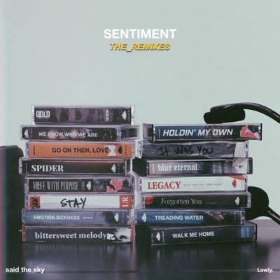 Sentiment (The Remixes)'s cover
