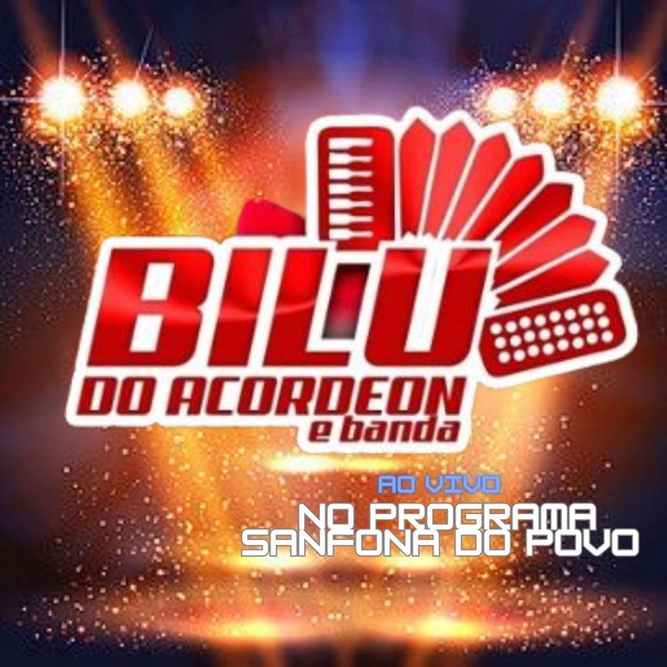 BILÚ DO ACORDEON E BANDA's avatar image