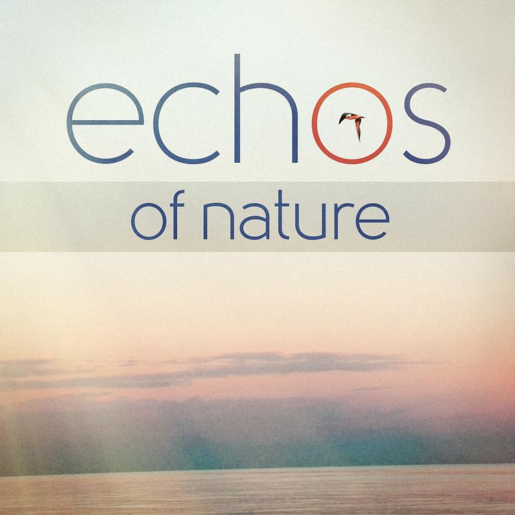Nature's Sonic Environments and Sounds's avatar image