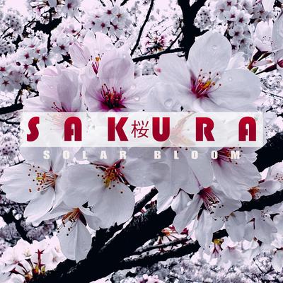 Sakura By Solar Bloom's cover