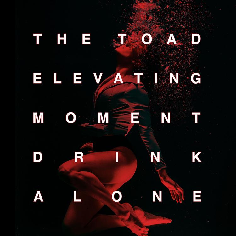 The Toad Elevating Moment's avatar image