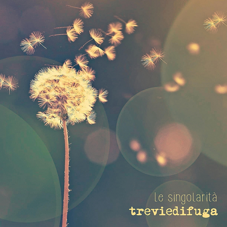 treviedifuga's avatar image