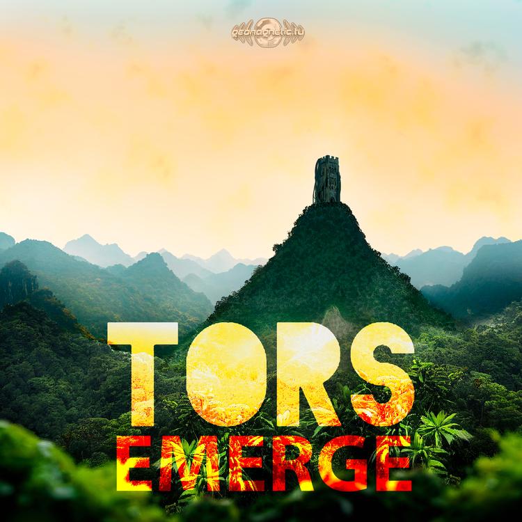 TORS's avatar image