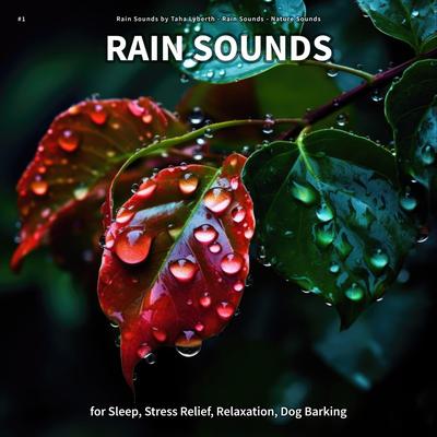 Salutary Charisma By Rain Sounds by Taha Lyberth, Rain Sounds, Nature Sounds's cover