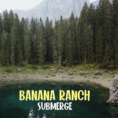 Last Prize At The Fair By Banana Ranch's cover