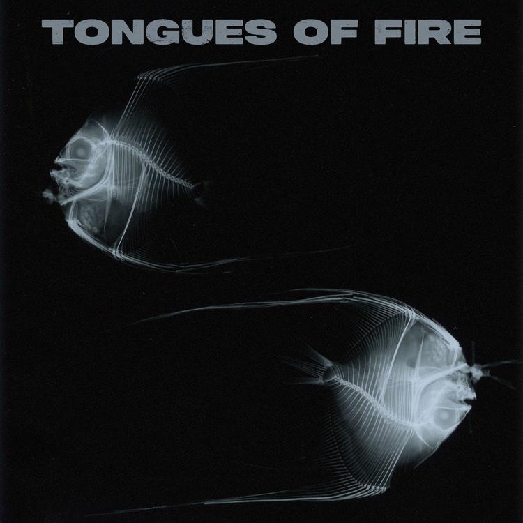 Tongues of Fire's avatar image