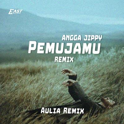 PEMUJAMU (REMIX)'s cover