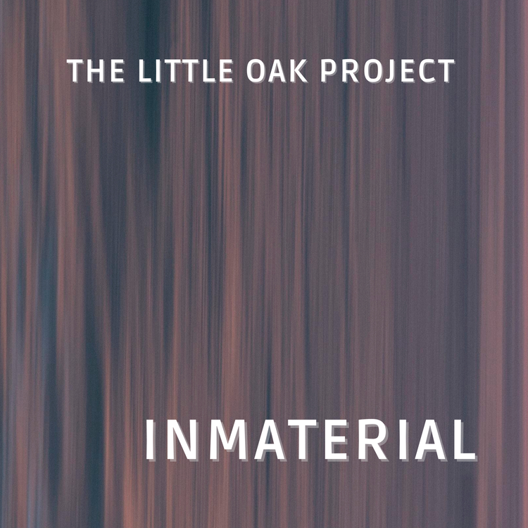 The Little Oak Project's avatar image