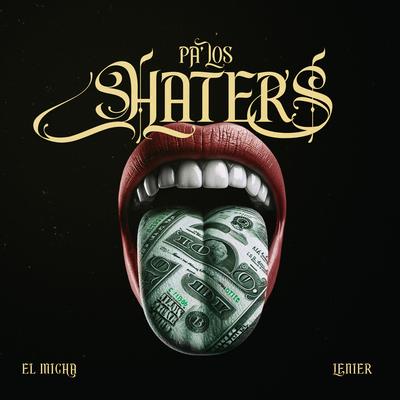 Pa los Haters's cover