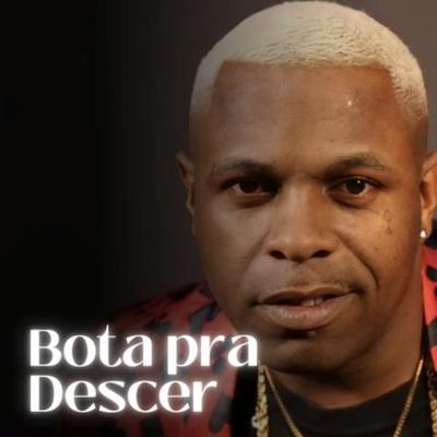 Bota pra Descer By Mc Mr. Bim, DJ BRN, HBL, Funk Mandelão Fluxos, Love Fluxos's cover