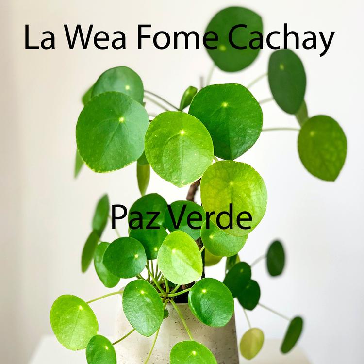 La Wea Fome Cachay's avatar image