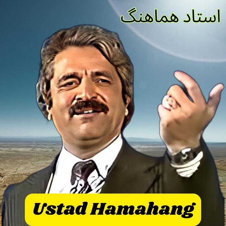 Ustad Hamahang's avatar image