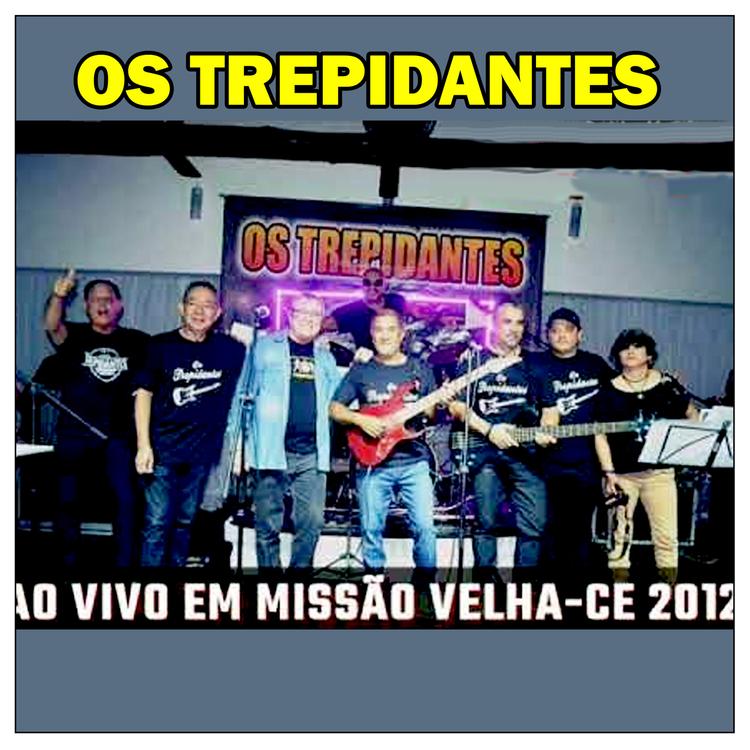 Os Trepidantes's avatar image