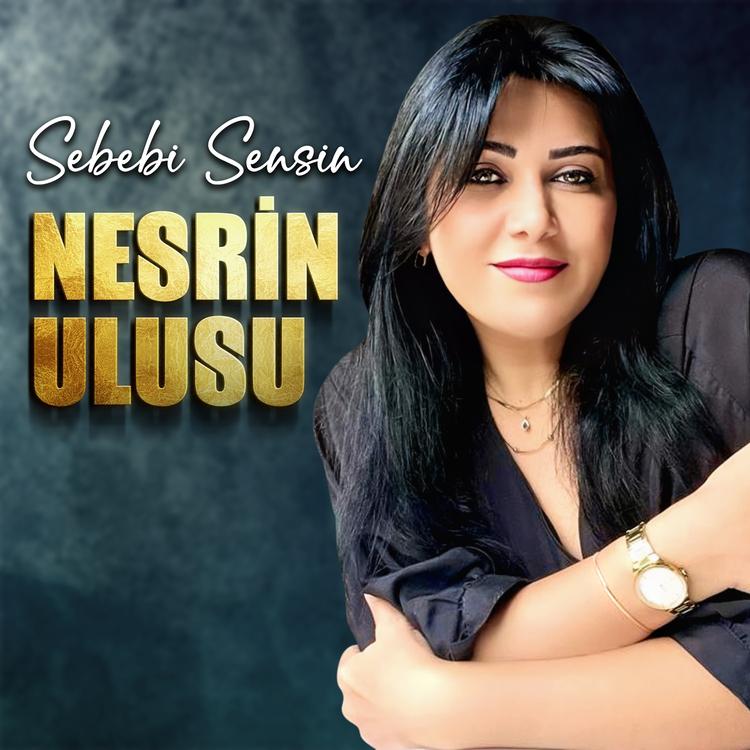 Nesrin Ulusu's avatar image