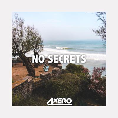 No Secrets By Axero's cover