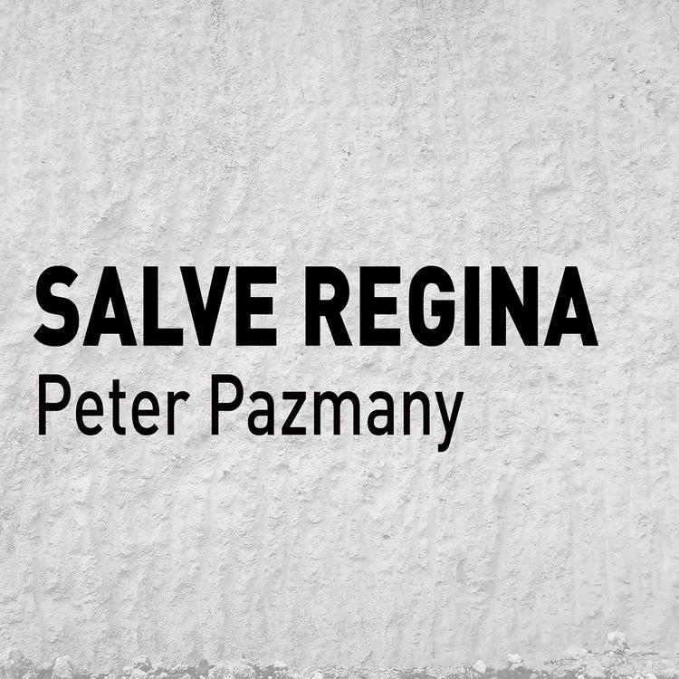 Peter Pazmany's avatar image