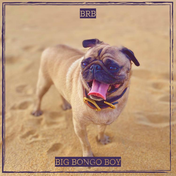 Big Bongo Boy's avatar image