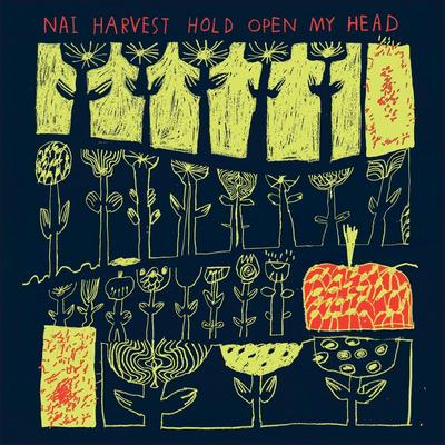 Hold Open My Head By Nai Harvest's cover