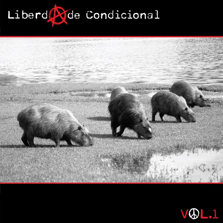 Projeto Liberdade Condicional's avatar image