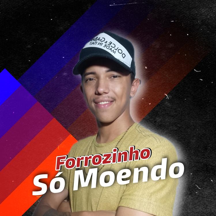 lobinho cantor's avatar image