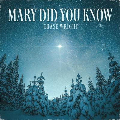 Mary Did You Know's cover