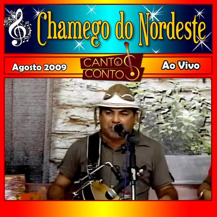 Forró Chamego do Nordeste's avatar image