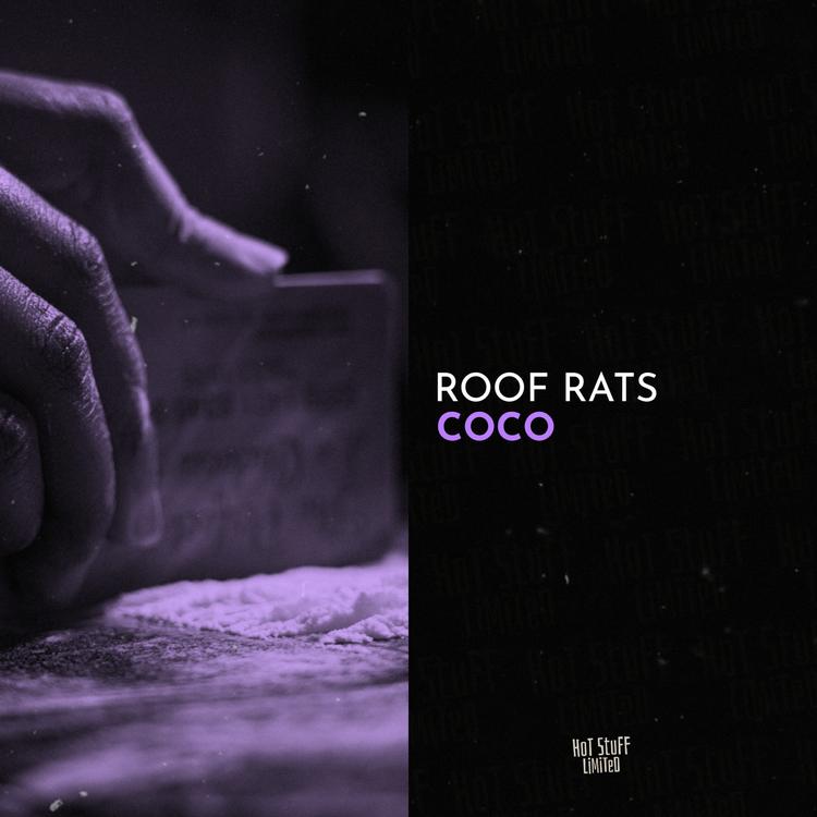 Roof Rats's avatar image