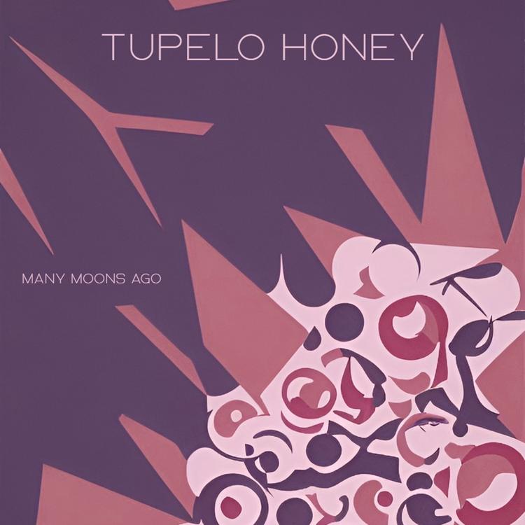 Tupelo Honey's avatar image