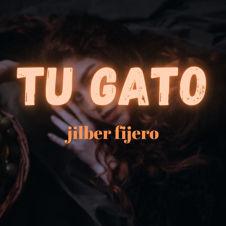 Jilber Fijero's avatar image