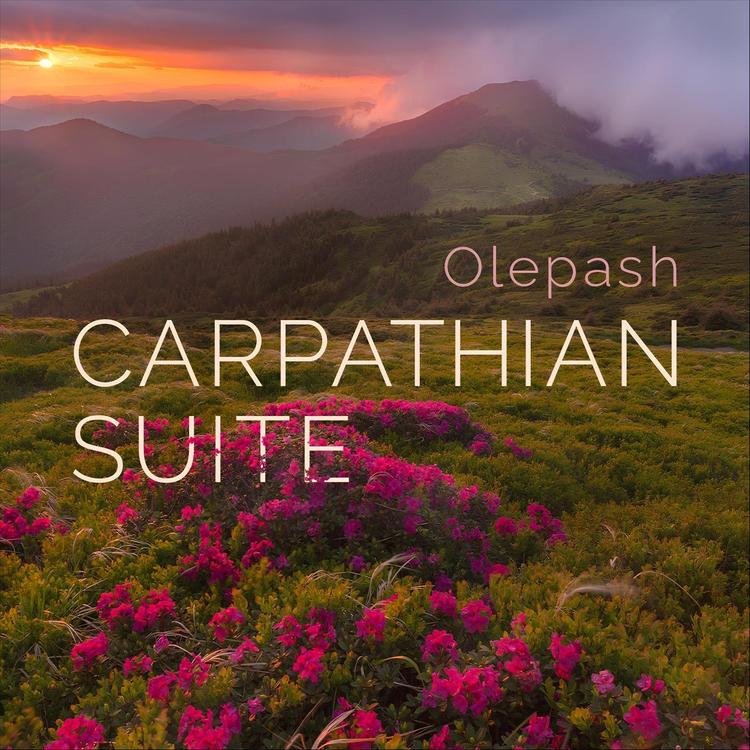 Olepash's avatar image
