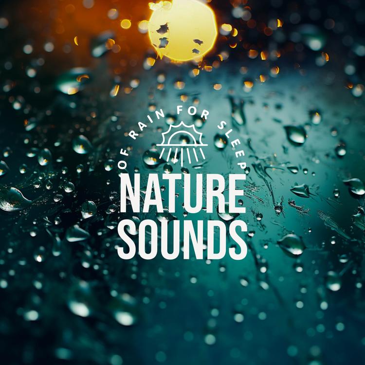 Nature Sounds Of Rain For Sleep's avatar image