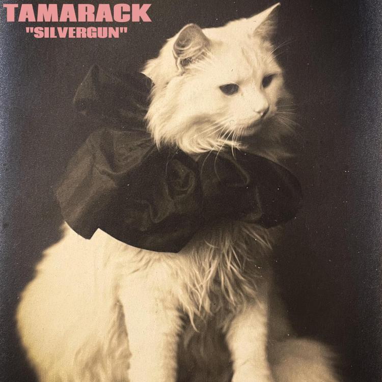 Tamarack's avatar image