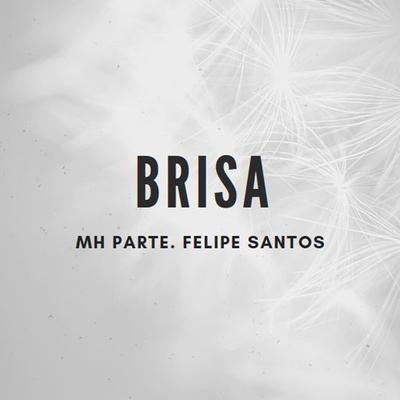 Brisa's cover