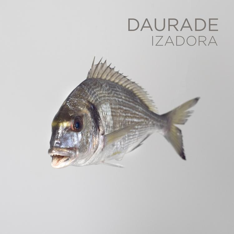 IZADORÄ's avatar image