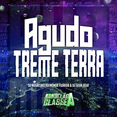 Agudo Treme Terra By DJ NEGRESKO, DJ MENOR DO FLORIDA, Dj silva beat's cover