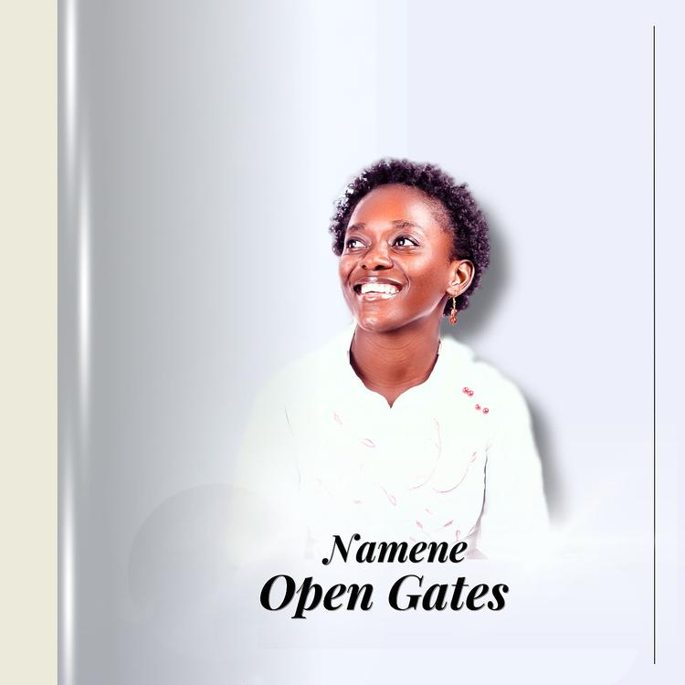 Namene's avatar image