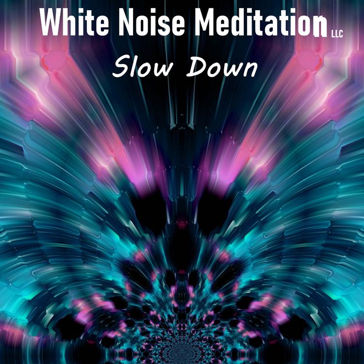 White Noise Meditation LLC's avatar image