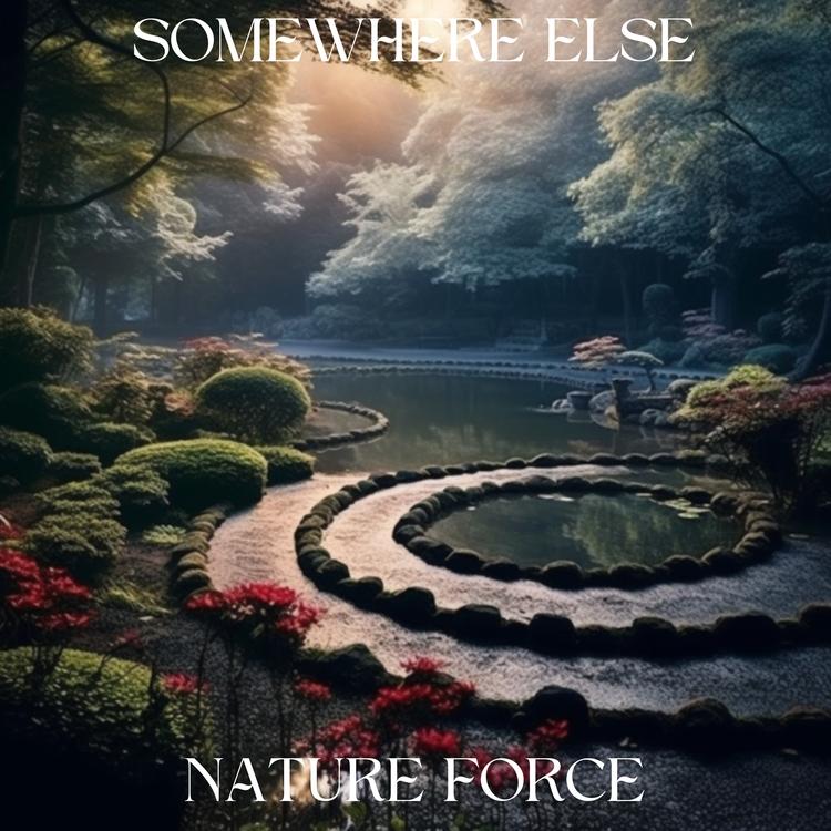 NATURE FORCE's avatar image