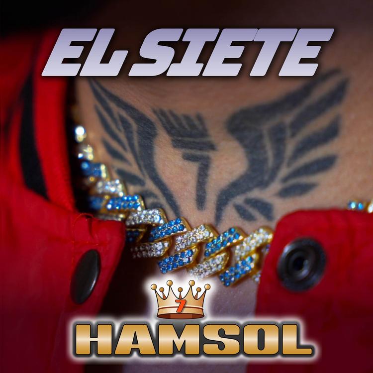 Hamsol's avatar image