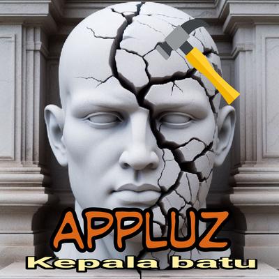Appluz's cover