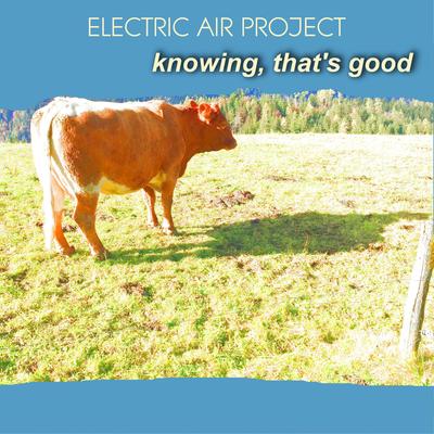 Electric Air Project's cover