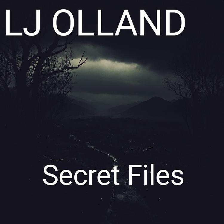 Lj Olland's avatar image