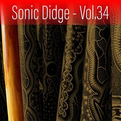 Sonic Didge, Vol. 34's cover