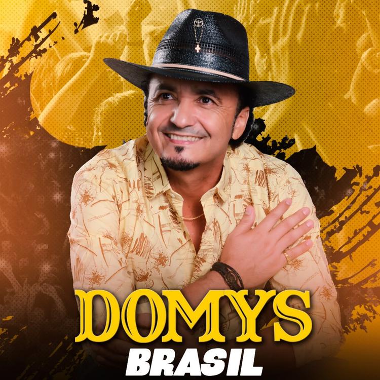 Domys Brasil's avatar image