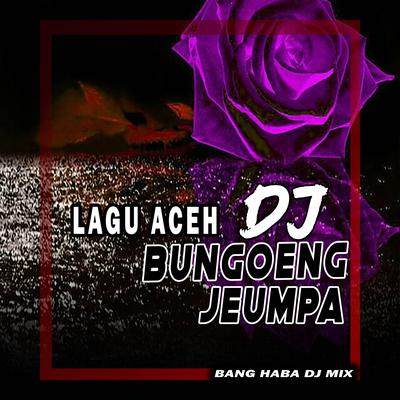 DJ Bungong Jeumpa (Remix Aceh)'s cover