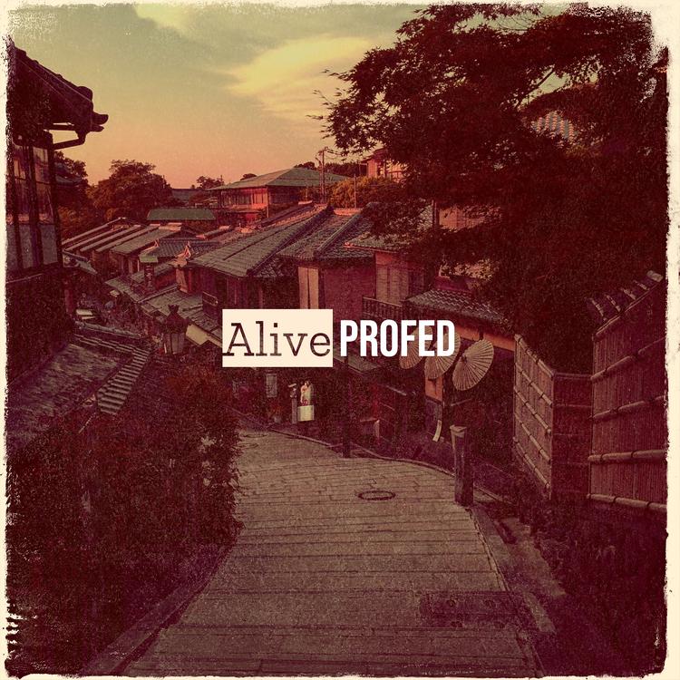 Profed's avatar image