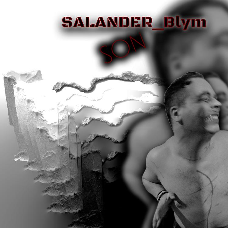 Salander Blym's avatar image