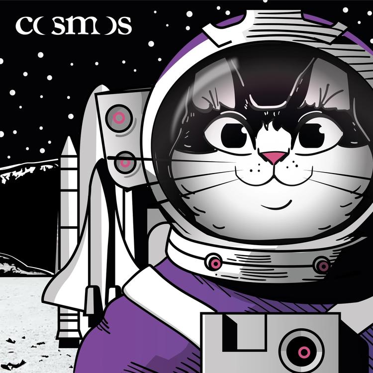 Cosmos's avatar image