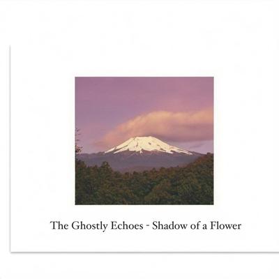 The Ghostly Echoes's cover