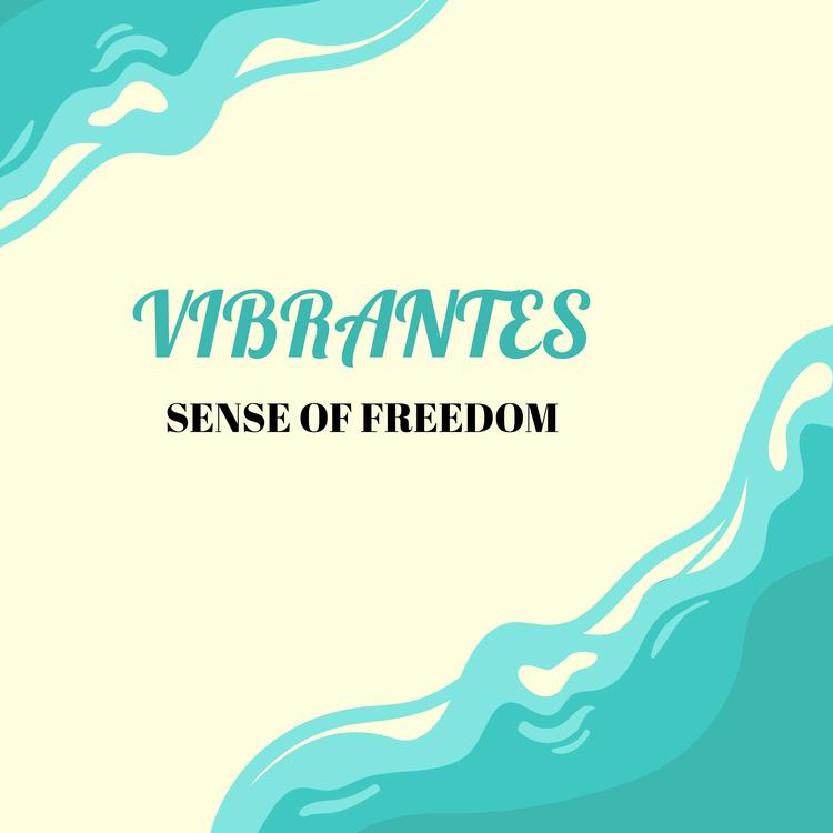Vibrantes's avatar image